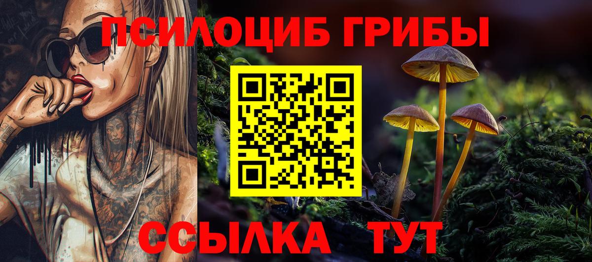 Галлюциногенные грибы Гудермес