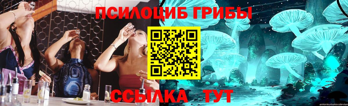Гудермес  Псилоцибиновые грибы GOLDEN TEACHER  Псилоцибиновые грибы Cubensis  Вход с VPN 